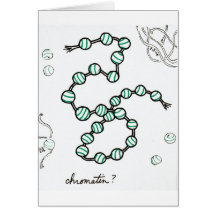 Chromatin card