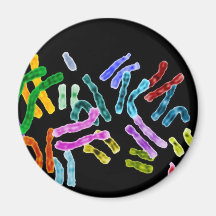 Chromosome Black background Refrigerator Magnets