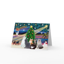 Chrstmas Magic - Six cats (variety) Cards