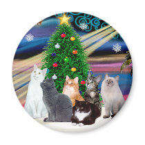 Chrstmas Magic - Six cats (variety) Magnet