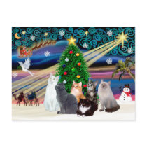 Chrstmas Magic - Six cats (variety) Post Cards
