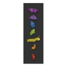 chrysalids business cards