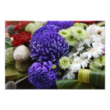 Chrysanthème Impressions Photographiques