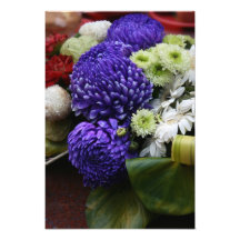 Chrysanthème Photos Sur Toile