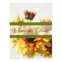 Chrysanthèmes d'or et de Brown 1 économies la date Carte Postale