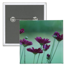 Chrysanthemum and meaning pins