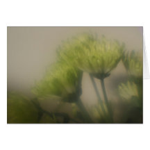Chrysanthemum Flower Note Card