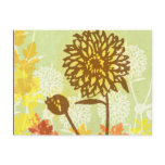Chrysanthemum Graphic Postcards
