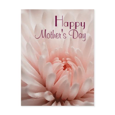 Chrysanthemum  - Happy Mother's Day Customized by myhome71