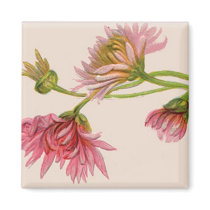 Chrysanthemum - Magnet