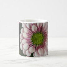 Chrysanthemum  Mug