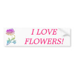 Chrysanthemums Bumper Sticker