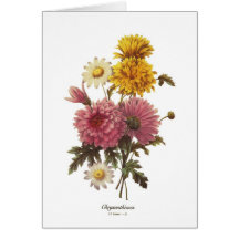 Chrysanthemums Card