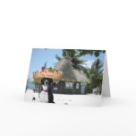 Chrysie Mexican Christmas Cards