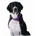 Chrysie Photo Cut Outs