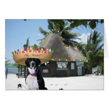 Chrysie's Mexican Christmas Greeting Cards