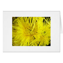 "Chrysthanthemums jaune " Cartes De Vœux