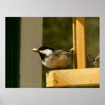 CHSC Chickadee Scores Print