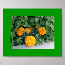 Chuchotements de jardin poster