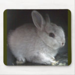 Chuck Mouse Pad