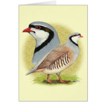 Chukar Partridge Combo Greeting Card