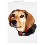 chulas greeting card