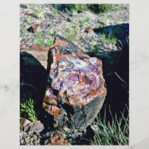 Chunk Of Agate Log - Desert National Park Full Color Flyer