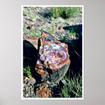 Chunk Of Agate Log - Desert National Park Posters