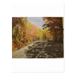 Chute dans la peinture Arkansas#3 Cartes Postales