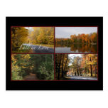 Chute dans l'amour le Wisconsin 2 Cartes Postales
