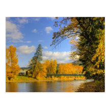 Chute sur la bouilloire cartes postales