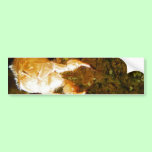 Cicada Claws bumper stickers