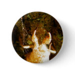 Cicada Claws Pins