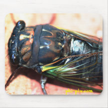 Cicada Mousepad
