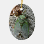 Cicada on the Wall Christmas Ornaments