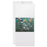 Cichlids, cichlids, and more cichlids! Fish fish! Personalized Rack Card