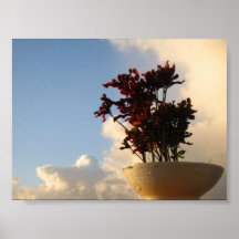 Ciel d'île posters
