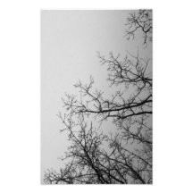 Ciel et arbres enlacés impressions photo