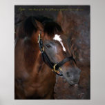 Cigar Posters