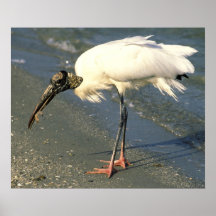 Cigogne en bois affiches