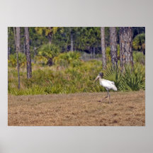 Cigogne en bois avec des poissons affiches