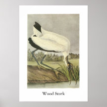 Cigogne en bois, John Audubon Posters
