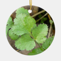 Cilantro Christmas Tree Ornaments