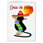 Cinco de mayo CAT Greeting Card
