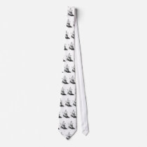 Cinderella's Slipper Tie