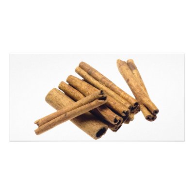 Cinnamon bark by joxxxxjo