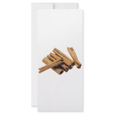 Cinnamon bark by joxxxxjo