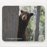 Cinnamon bear mousepads