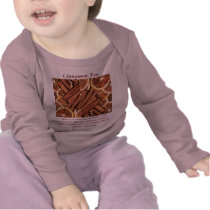 Cinnamon Tea infant shirt