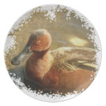 Cinnamon Teal Duck Plate